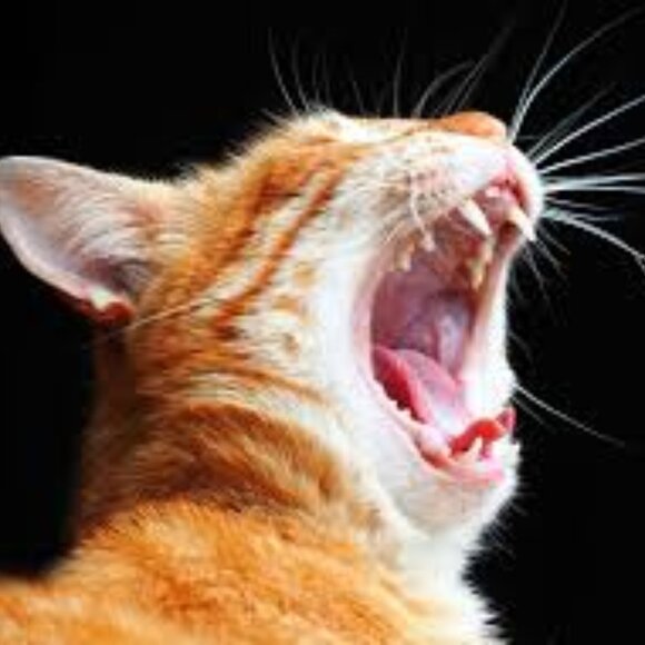 Bundle for Cmjulian! - Picture 1 of 1